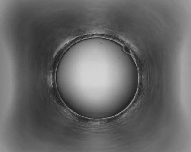 X0000116861262200912221131