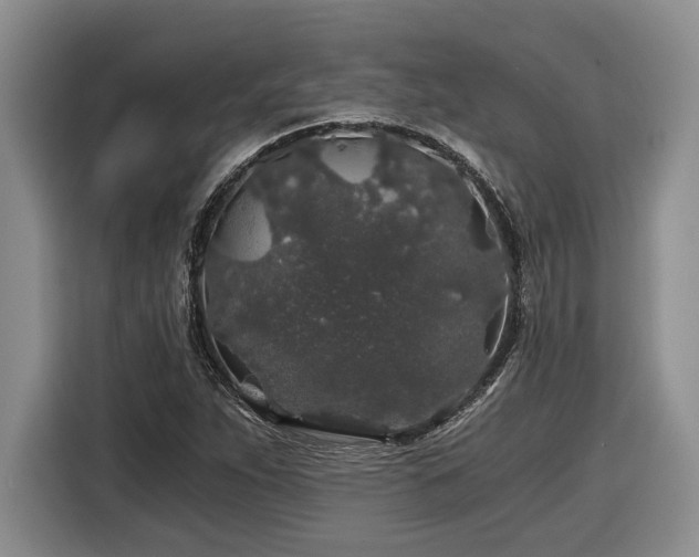X0000116861263200912221131