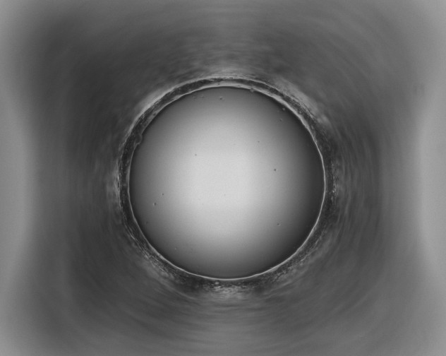 X0000116861264200912221131