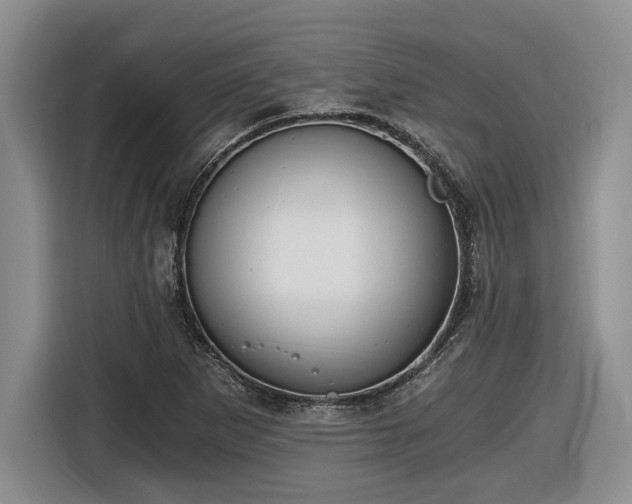 X0000116861265200912221131