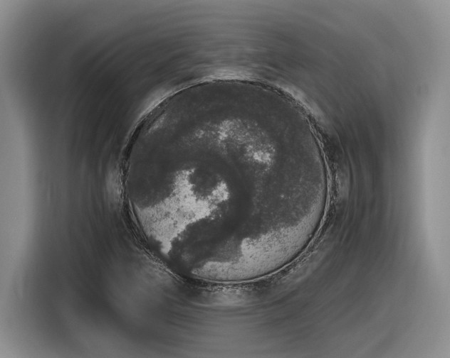 X0000116861266200912221131