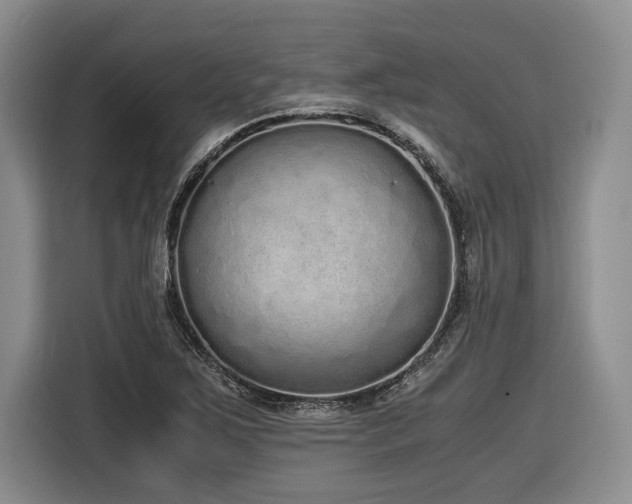 X0000116861267200912221131