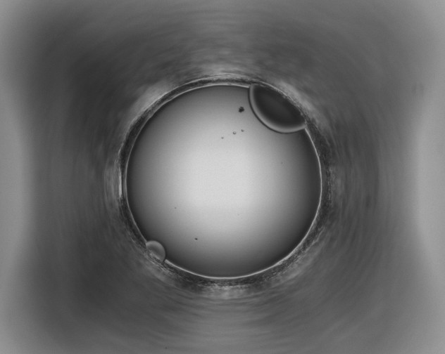 X0000116861269200912221131