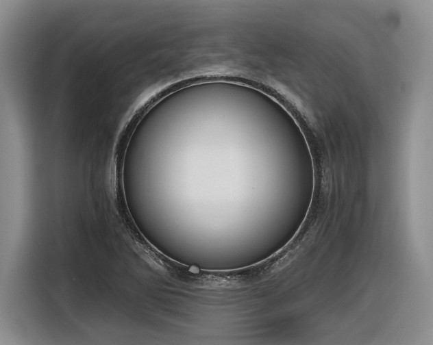 X0000116861270200912221131
