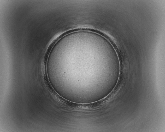 X0000116861271200912221131