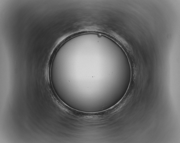 X0000116861272200912221131