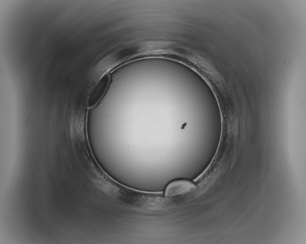 X0000116861273200912221131