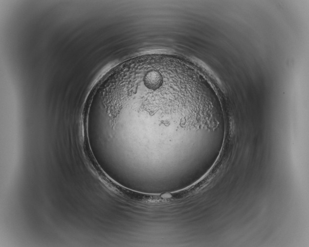 X0000116861274200912221131