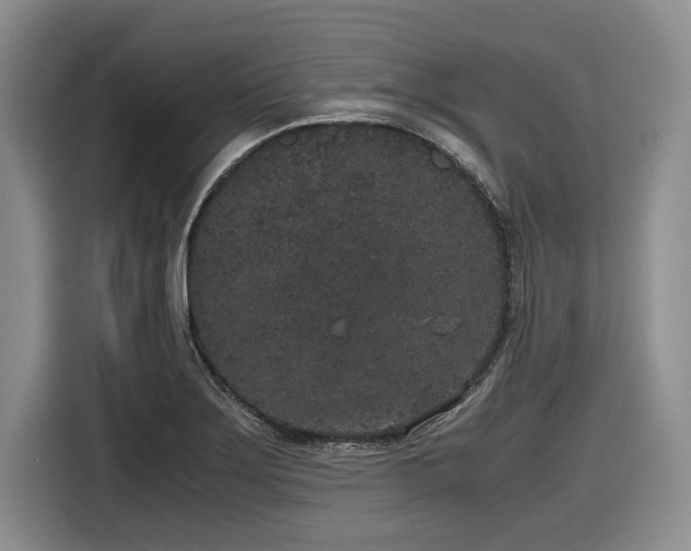 X0000116861275200912221131