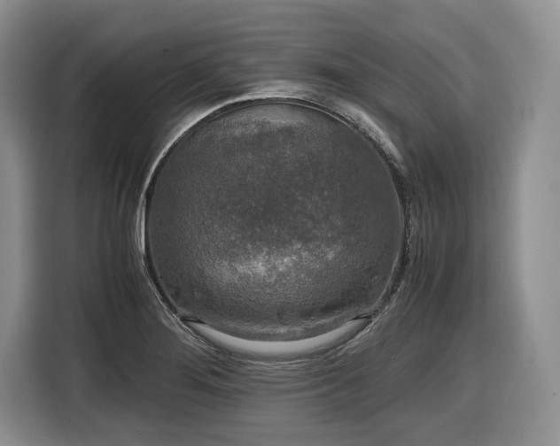 X0000116861276200912221131