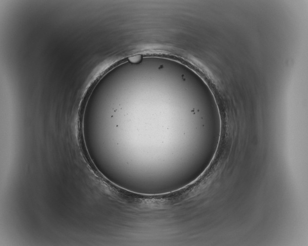 X0000116861277200912221131