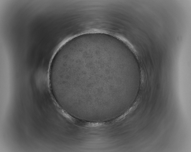 X0000116861278200912221131