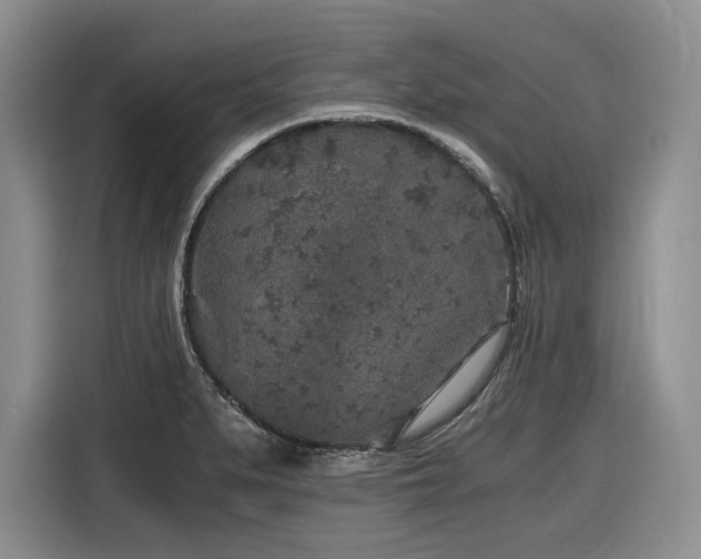 X0000116861279200912221131
