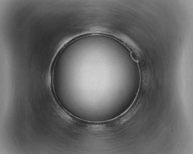 X0000116861280200912221131