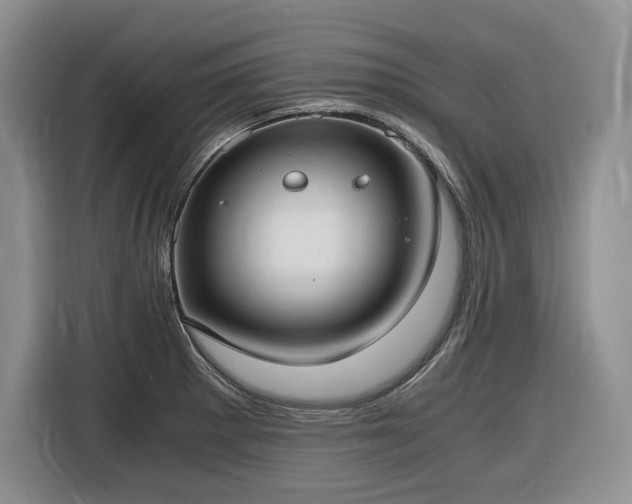 X0000116861281200912221131