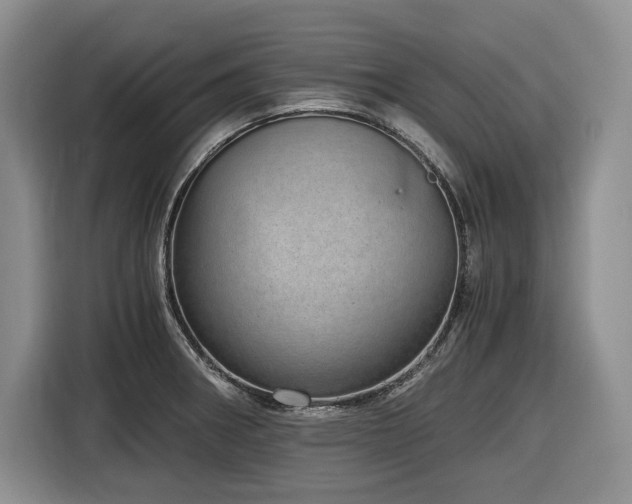 X0000116861282200912221131