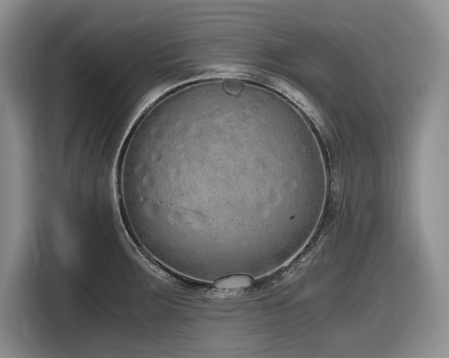 X0000116861283200912221131