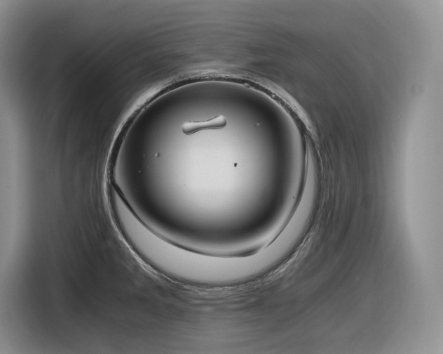 X0000116861285200912221131