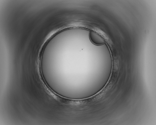 X0000116861286200912221131