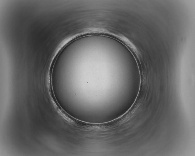 X0000116861287200912221131