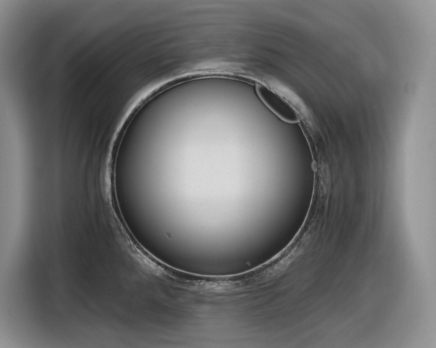 X0000116861288200912221131