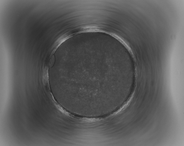X0000116861289200912221131