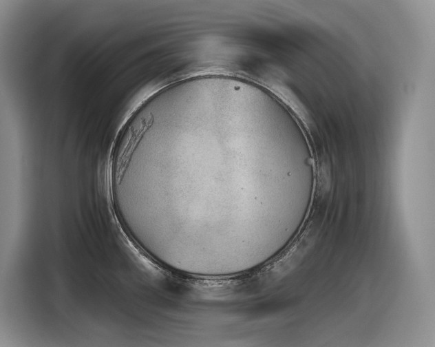 X0000116861290200912221131