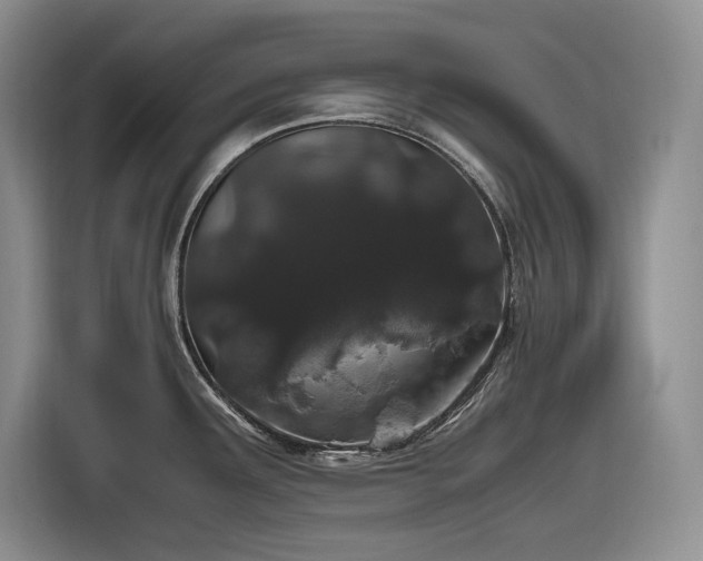 X0000116861291200912221131