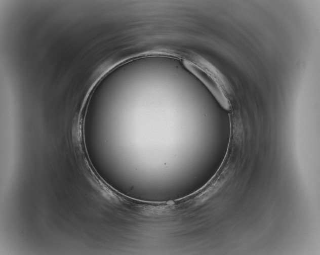 X0000116861292200912221131
