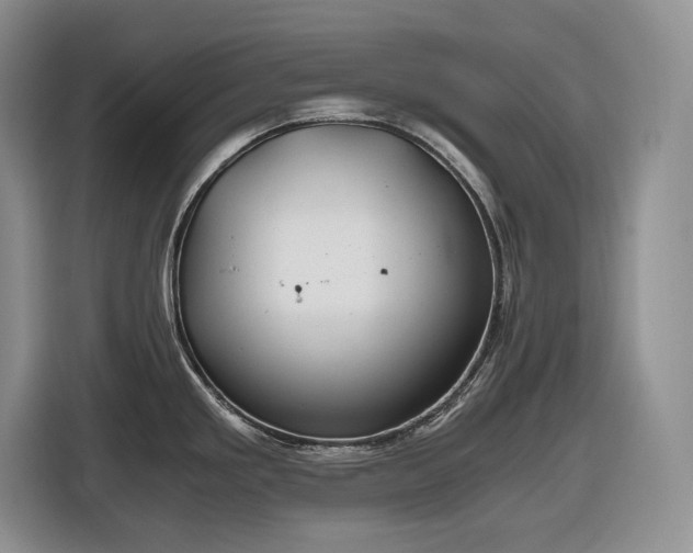 X0000116861293200912221131