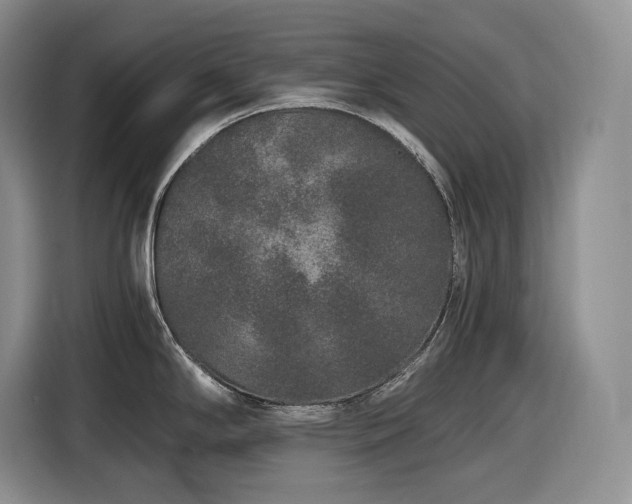 X0000116861294200912221131