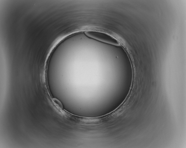 X0000116861296200912221131
