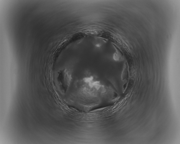 X0000116861297200912221130