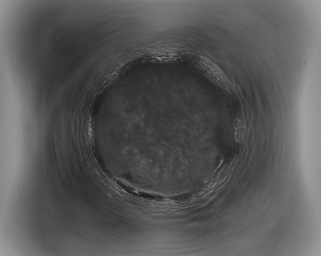 X0000116861298200912221130