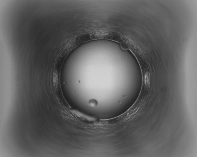 X0000116861299200912221130