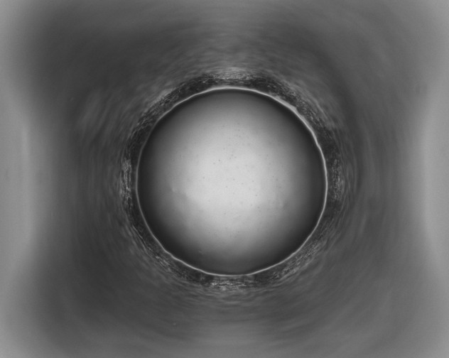 X0000116861301200912221130