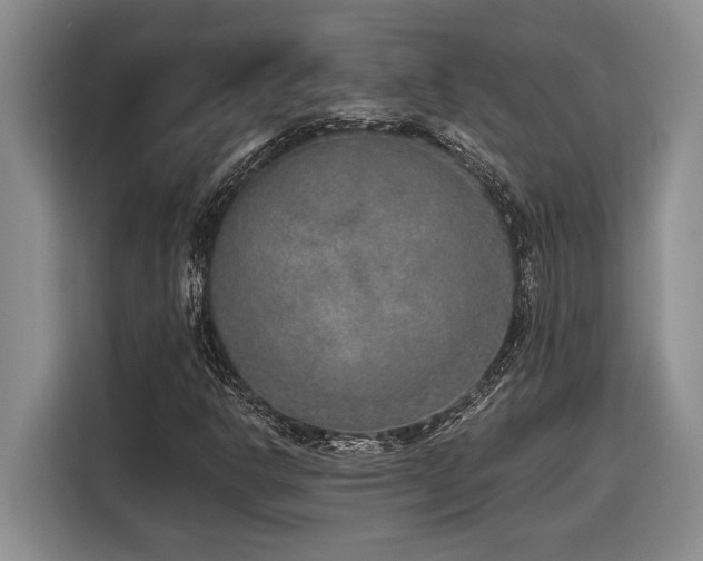 X0000116861302200912221130