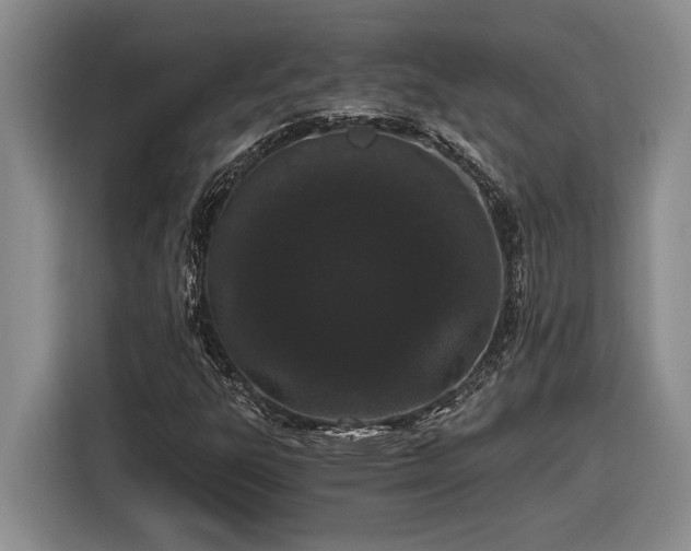 X0000116861303200912221130