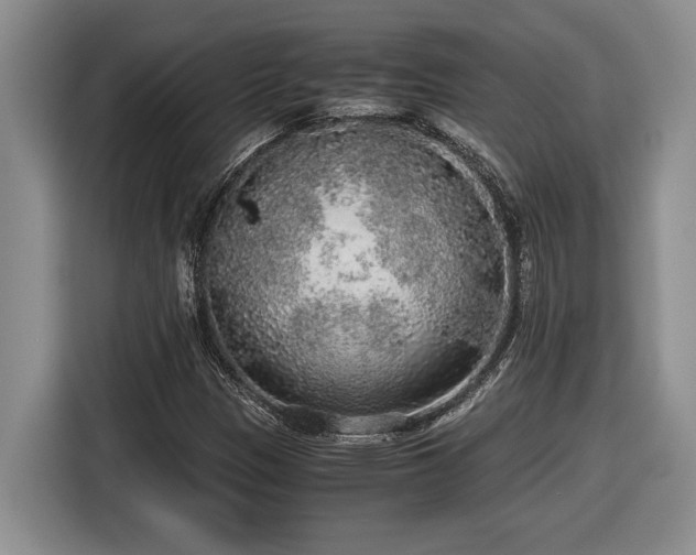 X0000116861305200912221130
