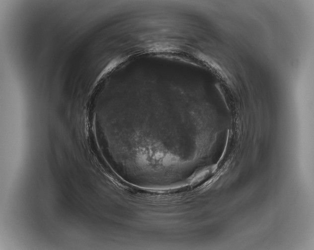 X0000116861306200912221130