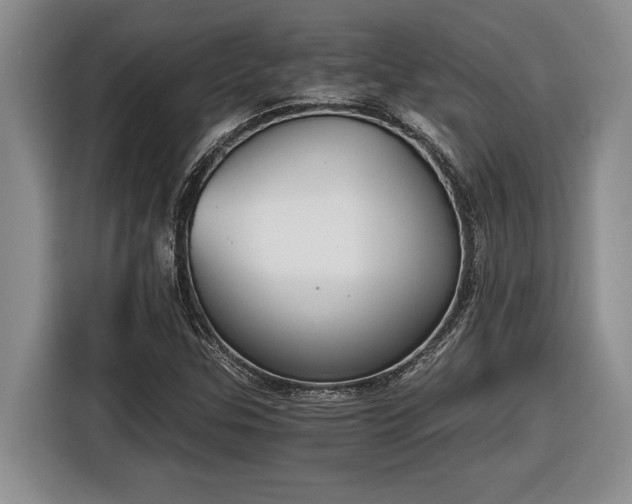 X0000116861307200912221130