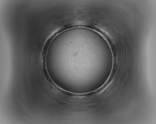 X0000116861309200912221131