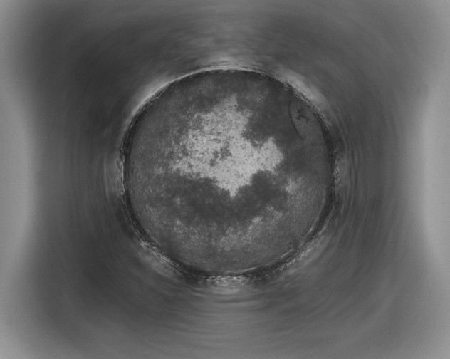 X0000116861310200912221131