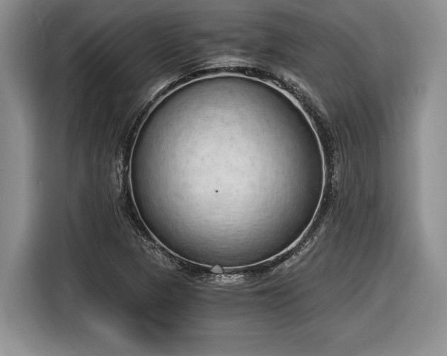 X0000116861313200912221131