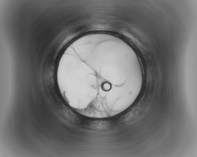 X0000116861314200912221131