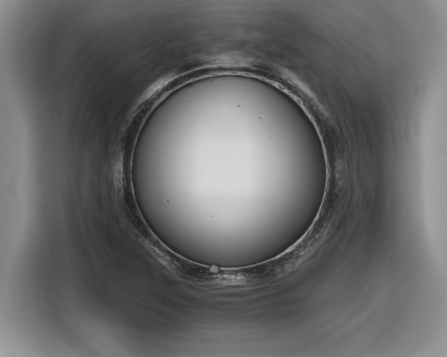 X0000116861315200912221131