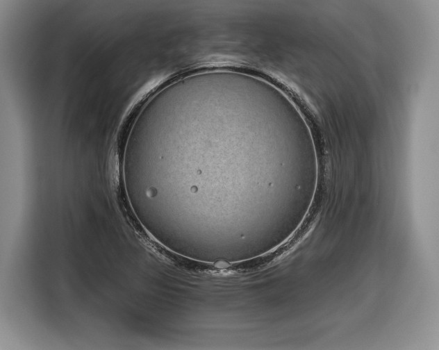 X0000116861317200912221131