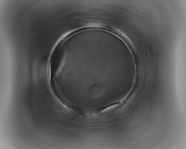 X0000116861323200912221131
