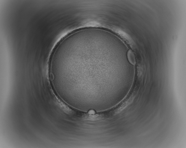 X0000116861326200912221131