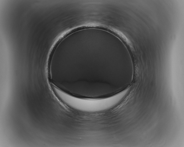 X0000116861327200912221131